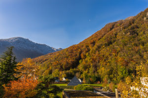 2019-11-19 Last autumn colours and first snow on nearby mountains