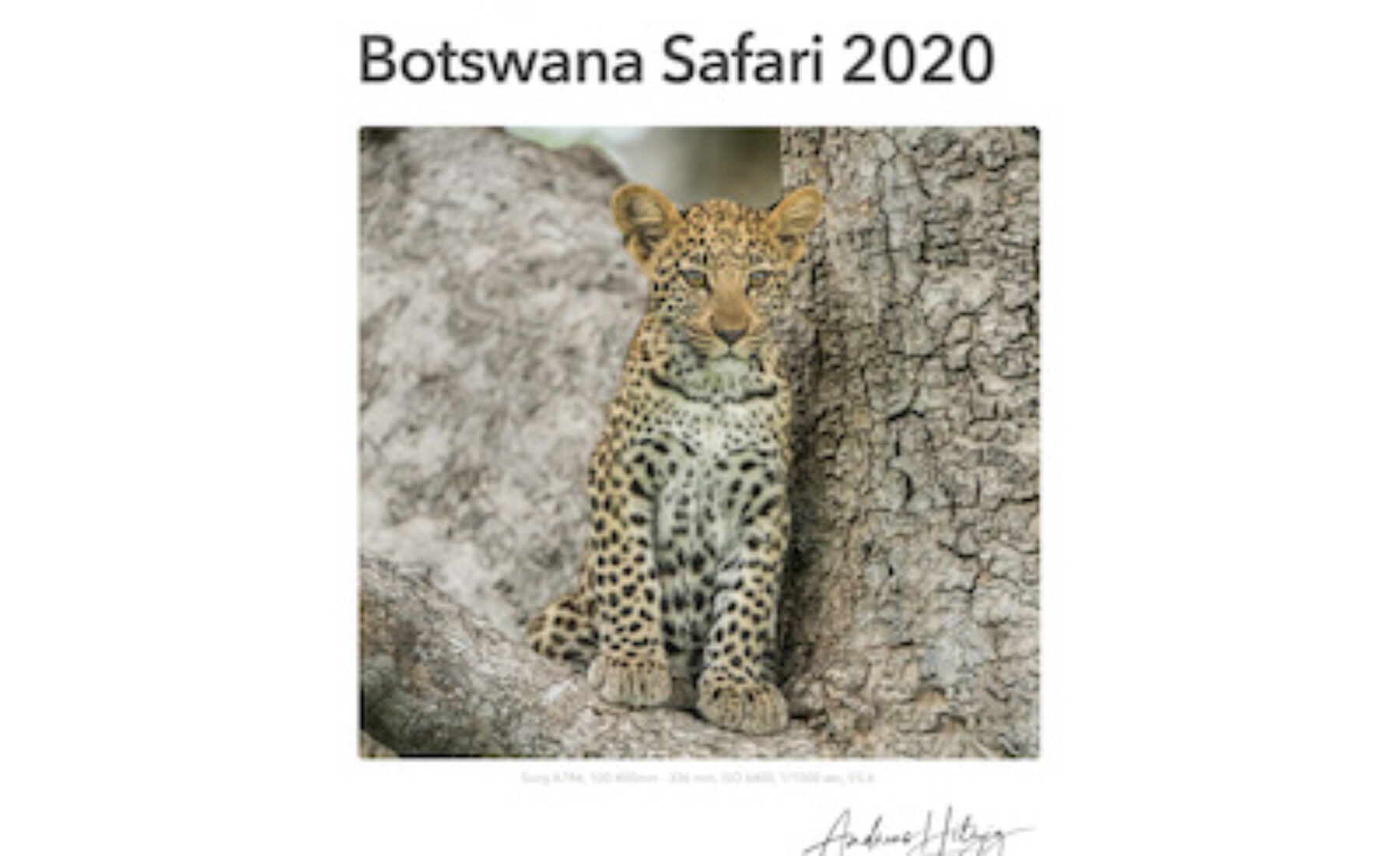 2020-11-10 Catalogue Botswana 2020 virtual exhibition