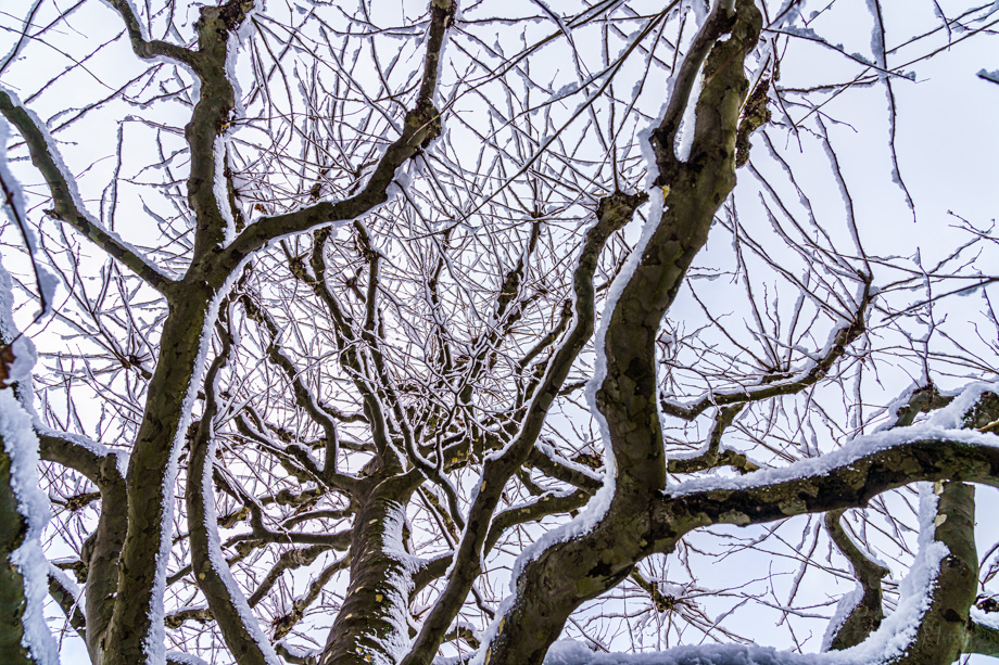 2021-01-26 Winter in Vouvry