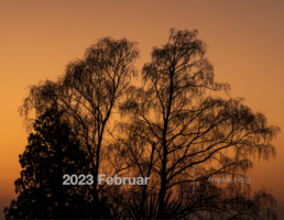 2023-03-01 February Photo book as pdf-File