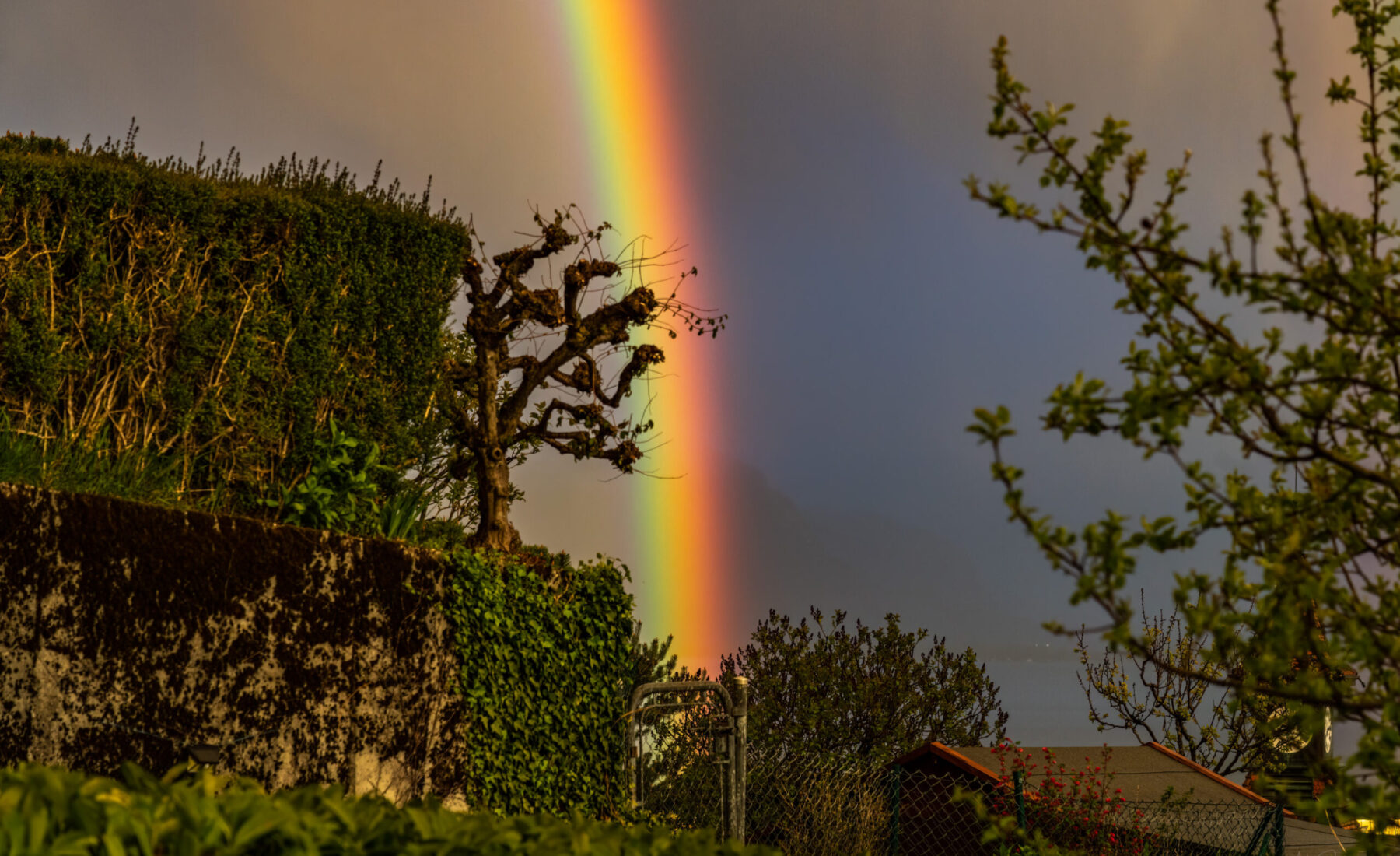 2023-04-13 Rainbow over Corseaux