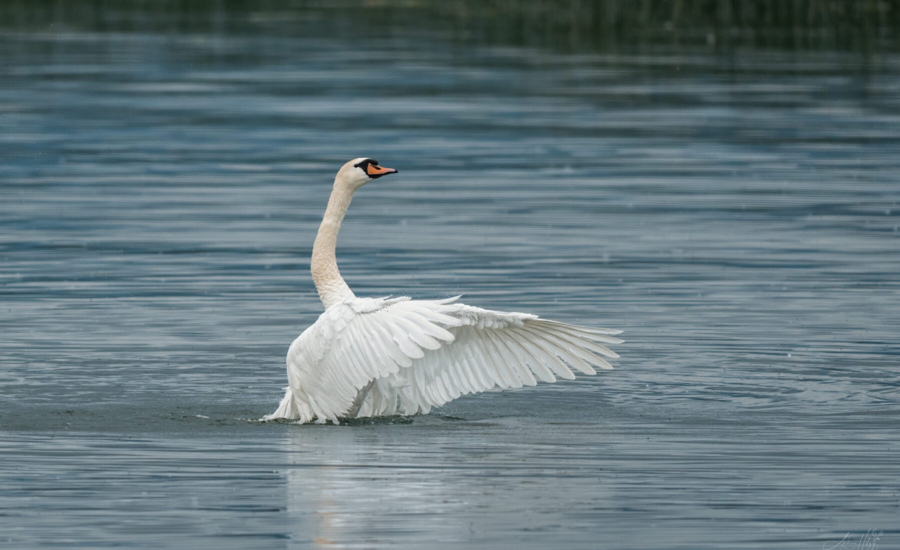 2025-05-27/28 Bad Murtensee