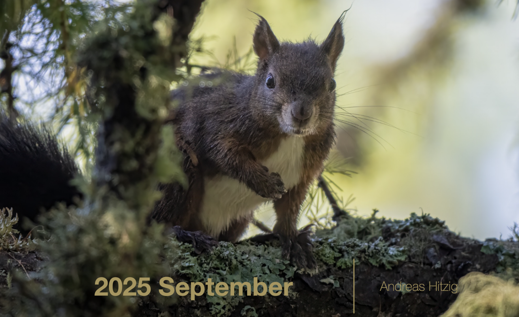 2025 September Photo book as pdf-File