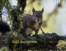 2025 September Photo book as pdf-File