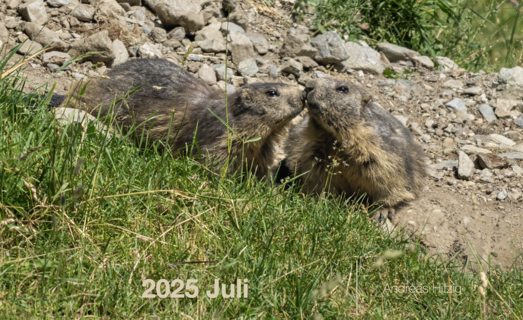 2025 July Photo book as pdf-File