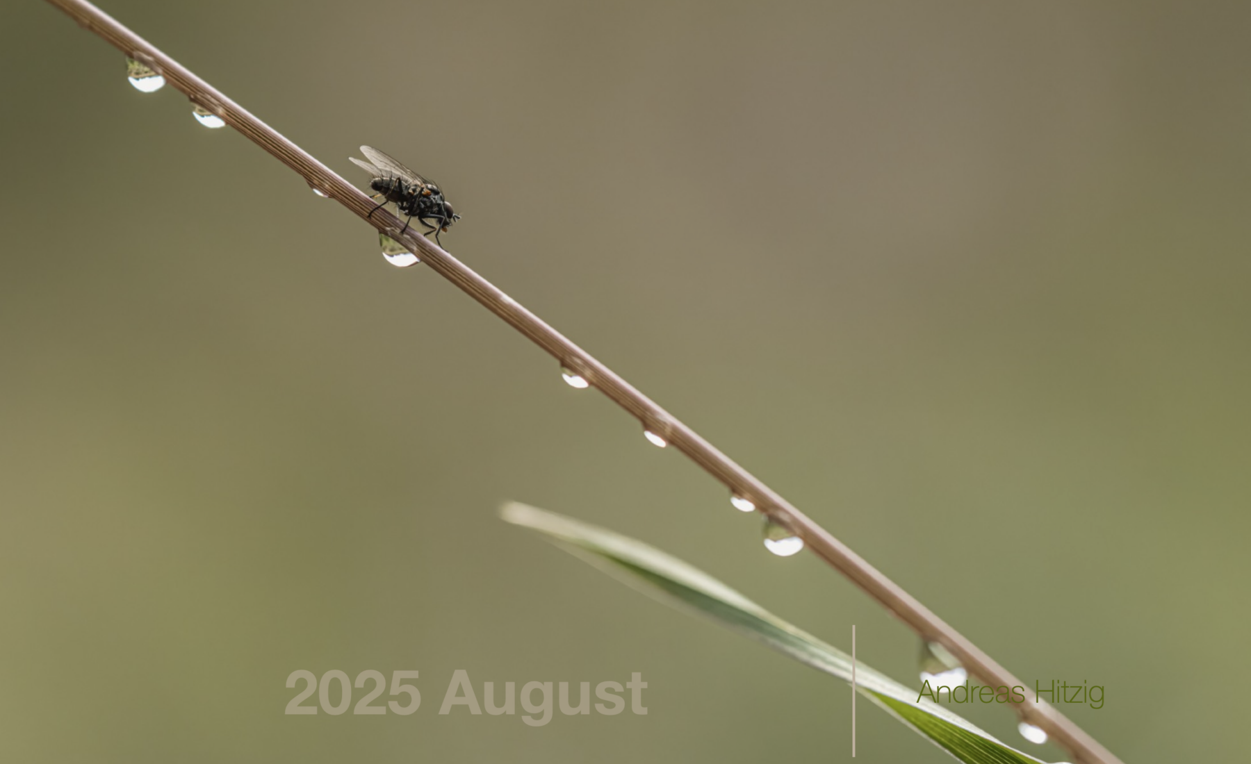 2025 August Photo book as pdf-File