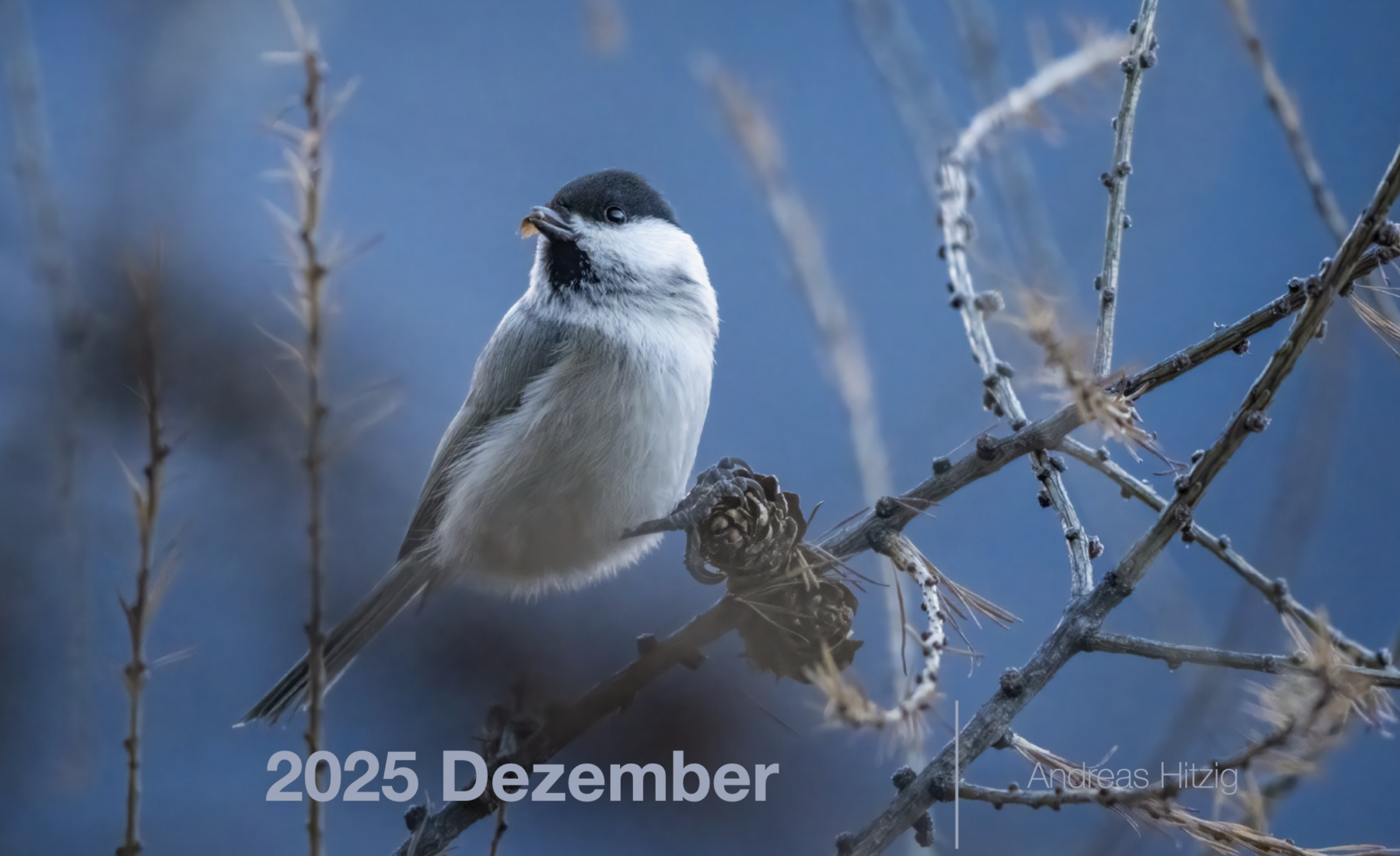 2025 December Photo book as pdf-File