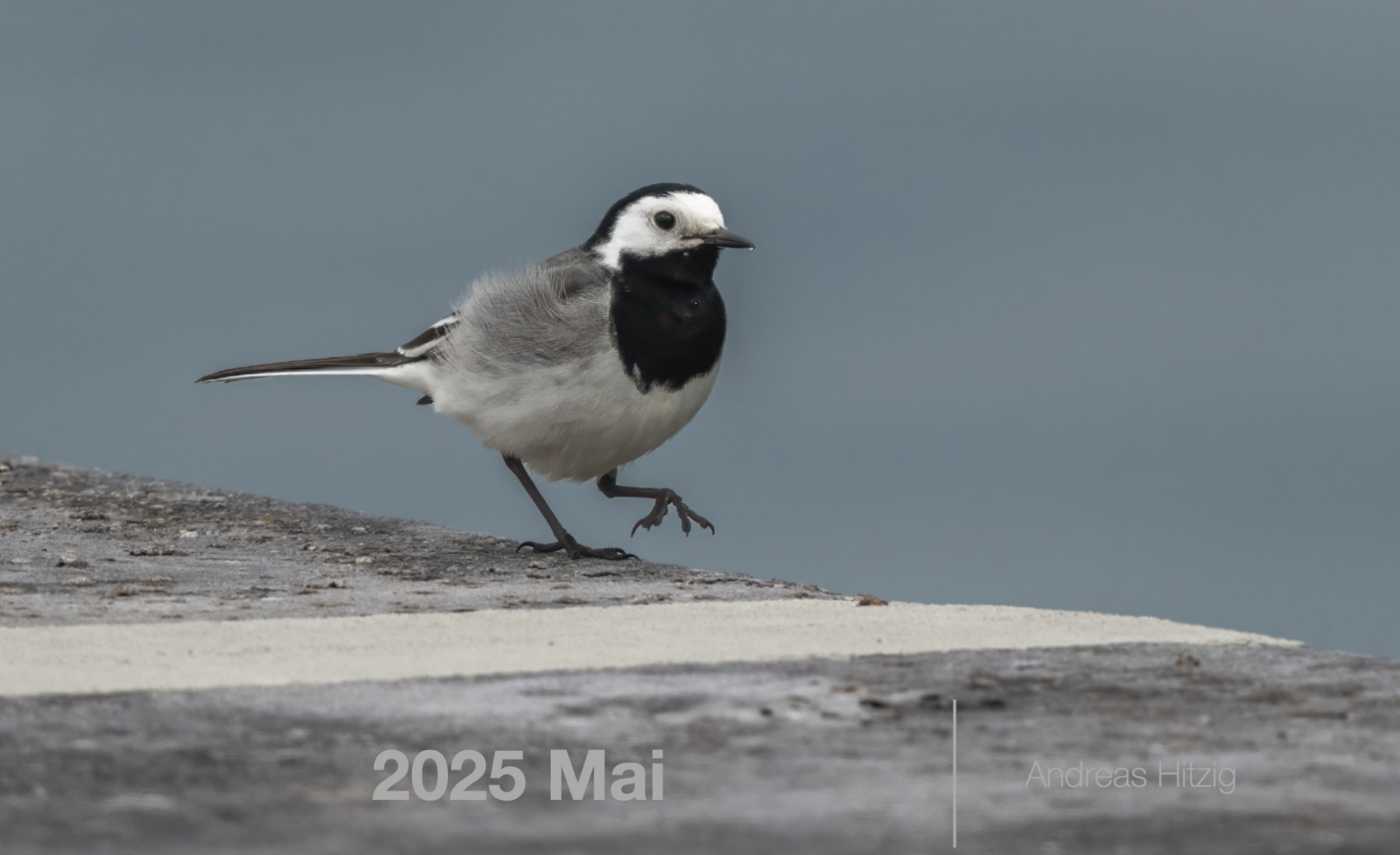 2025 May Photo book as pdf-File