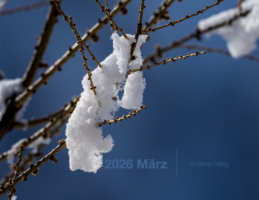 2026 March Photo book as pdf-File