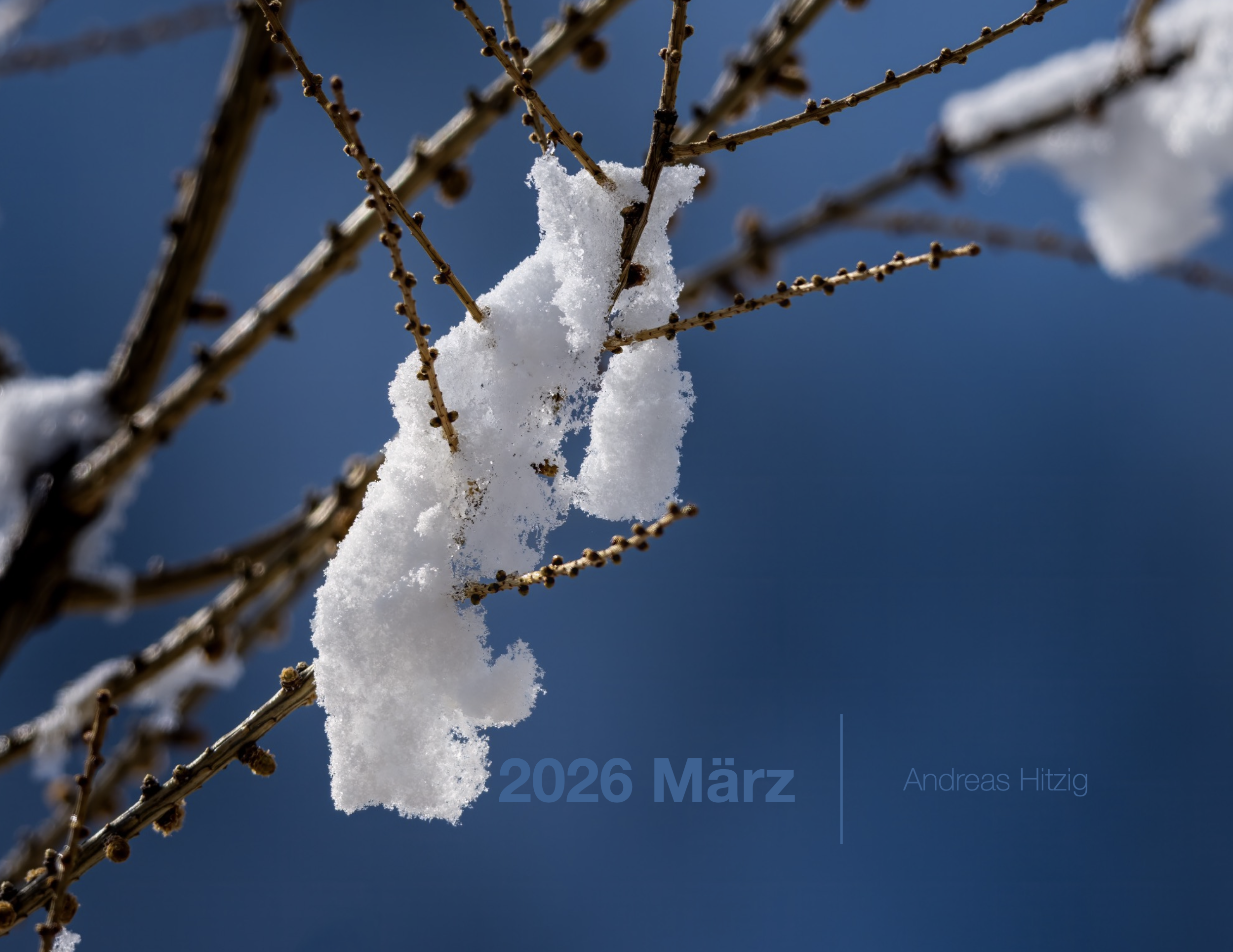 2026 March Photo book as pdf-File