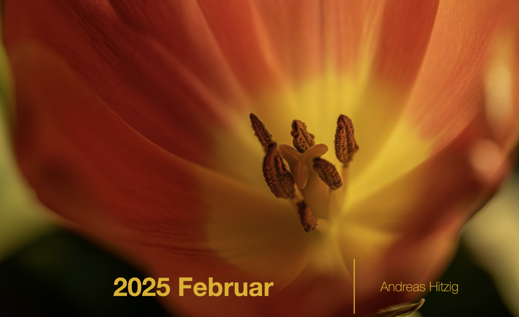 2025 February Photo book as pdf-File
