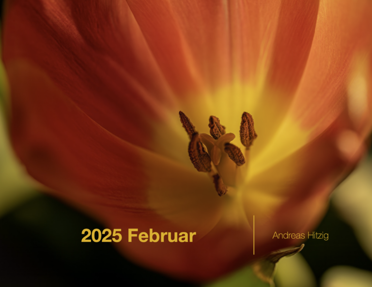 2025 February Photo book as pdf-File