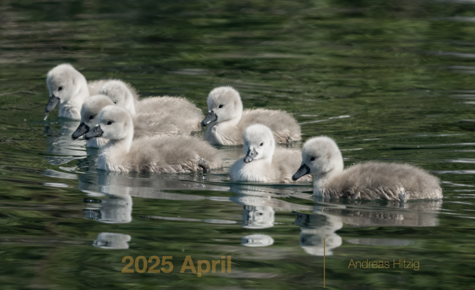 2025 April Photo book as pdf-File