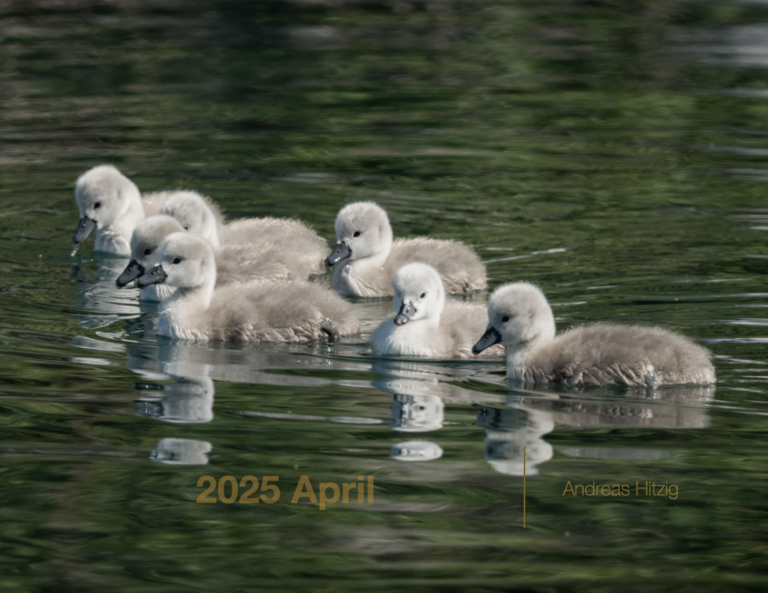 2025 April Photo book as pdf-File