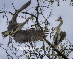 2026 April Photo book as pdf-File