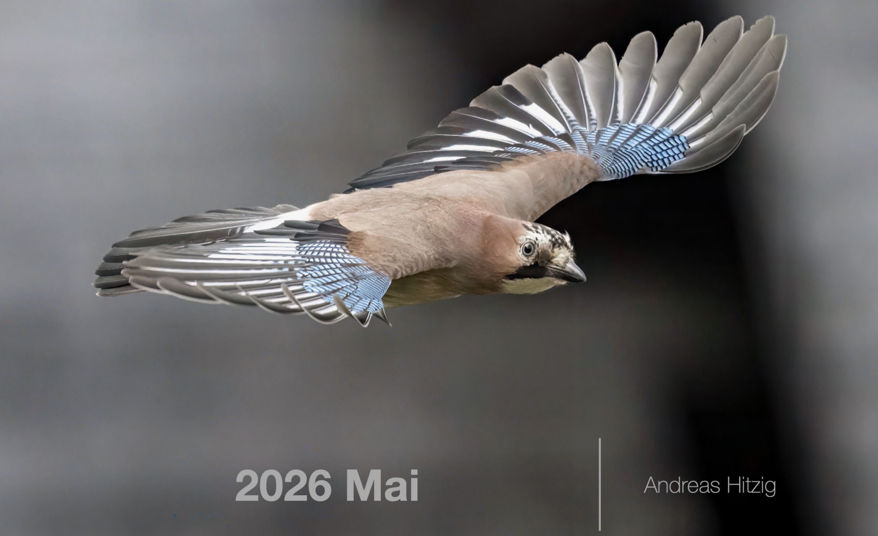2026 May Photo book as pdf-File