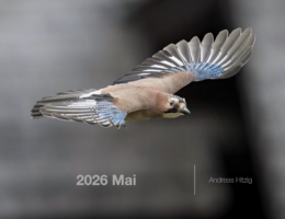 2026 May Photo book as pdf-File