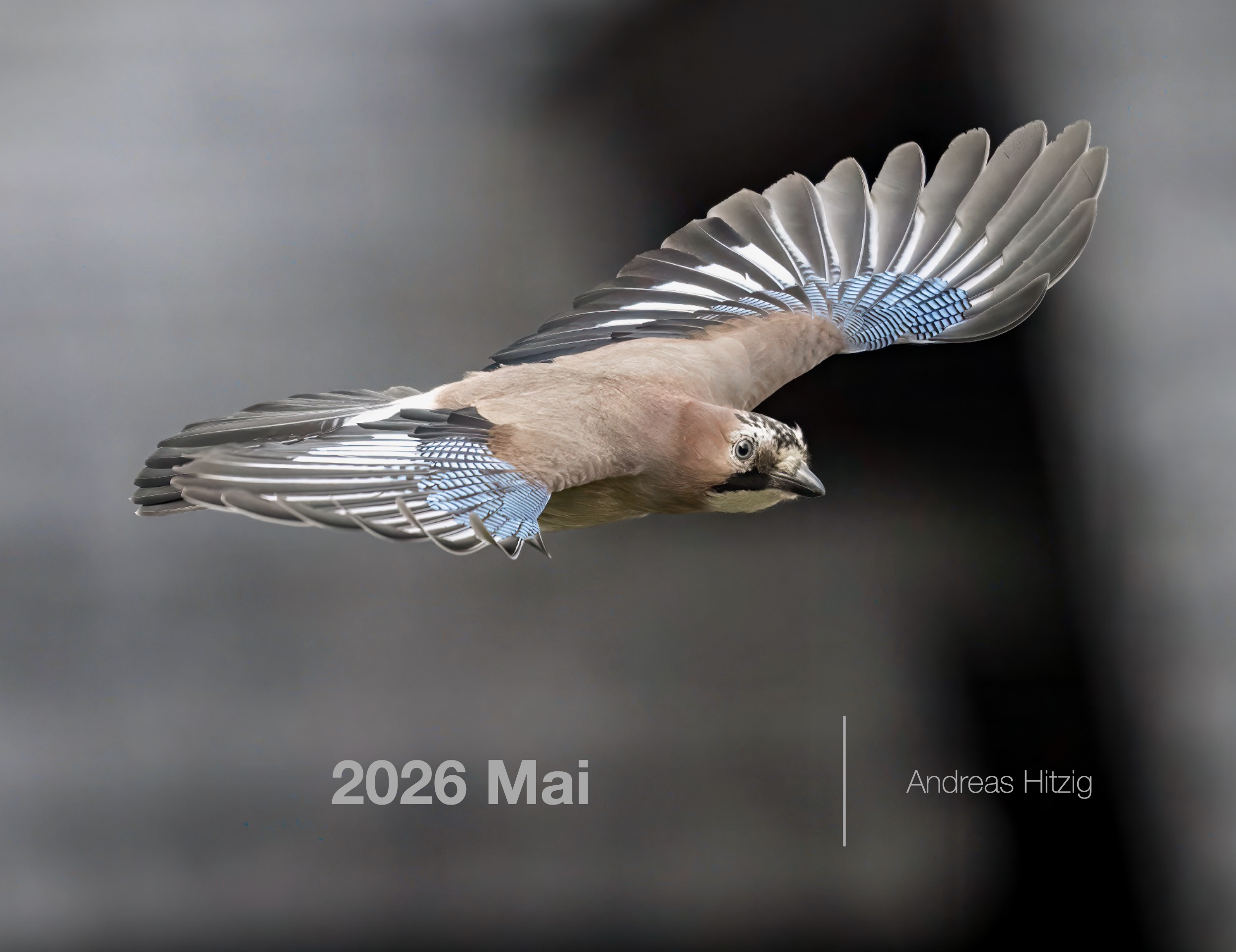 2026 May Photo book as pdf-File
