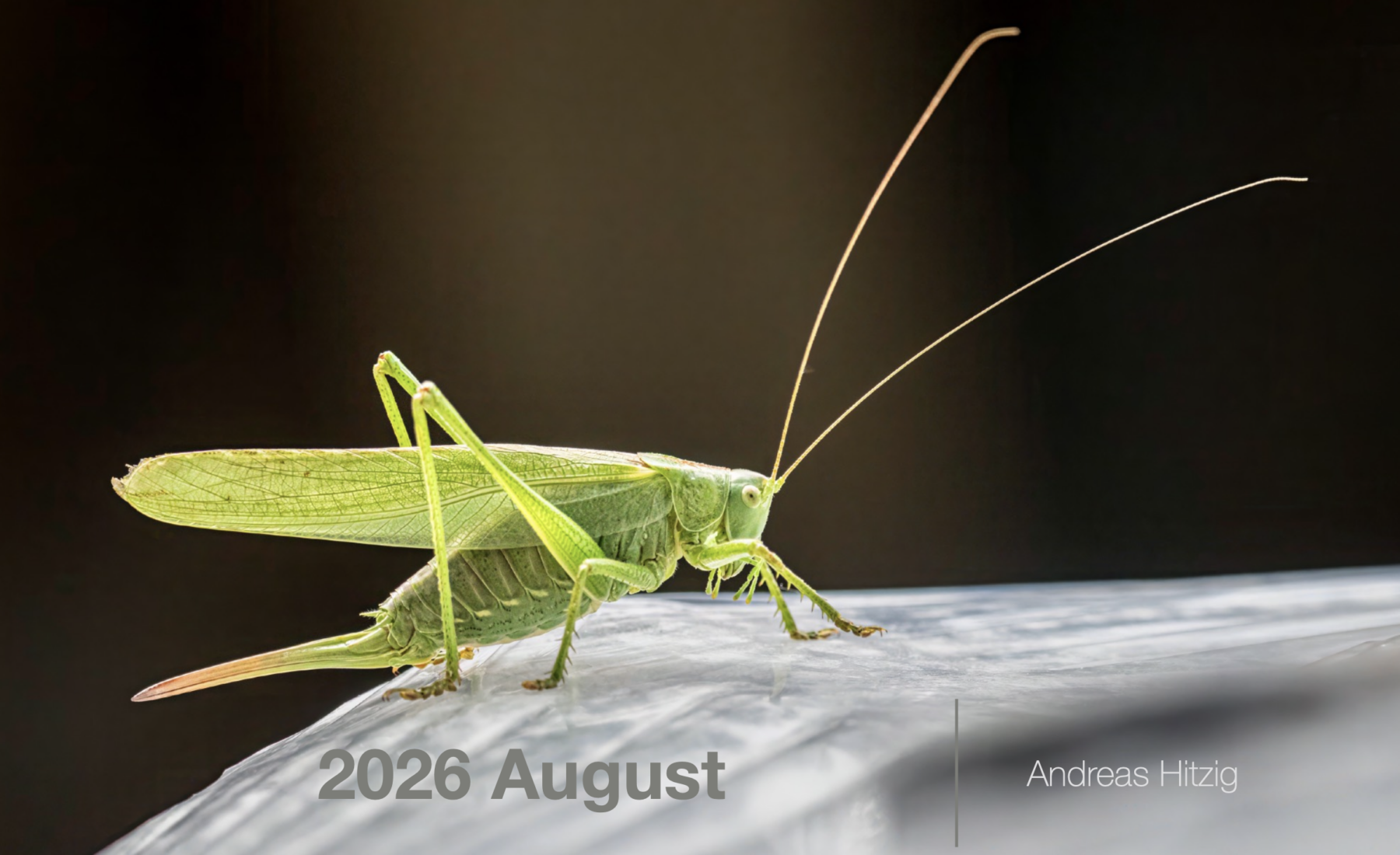 2026 August Photo book as pdf-File