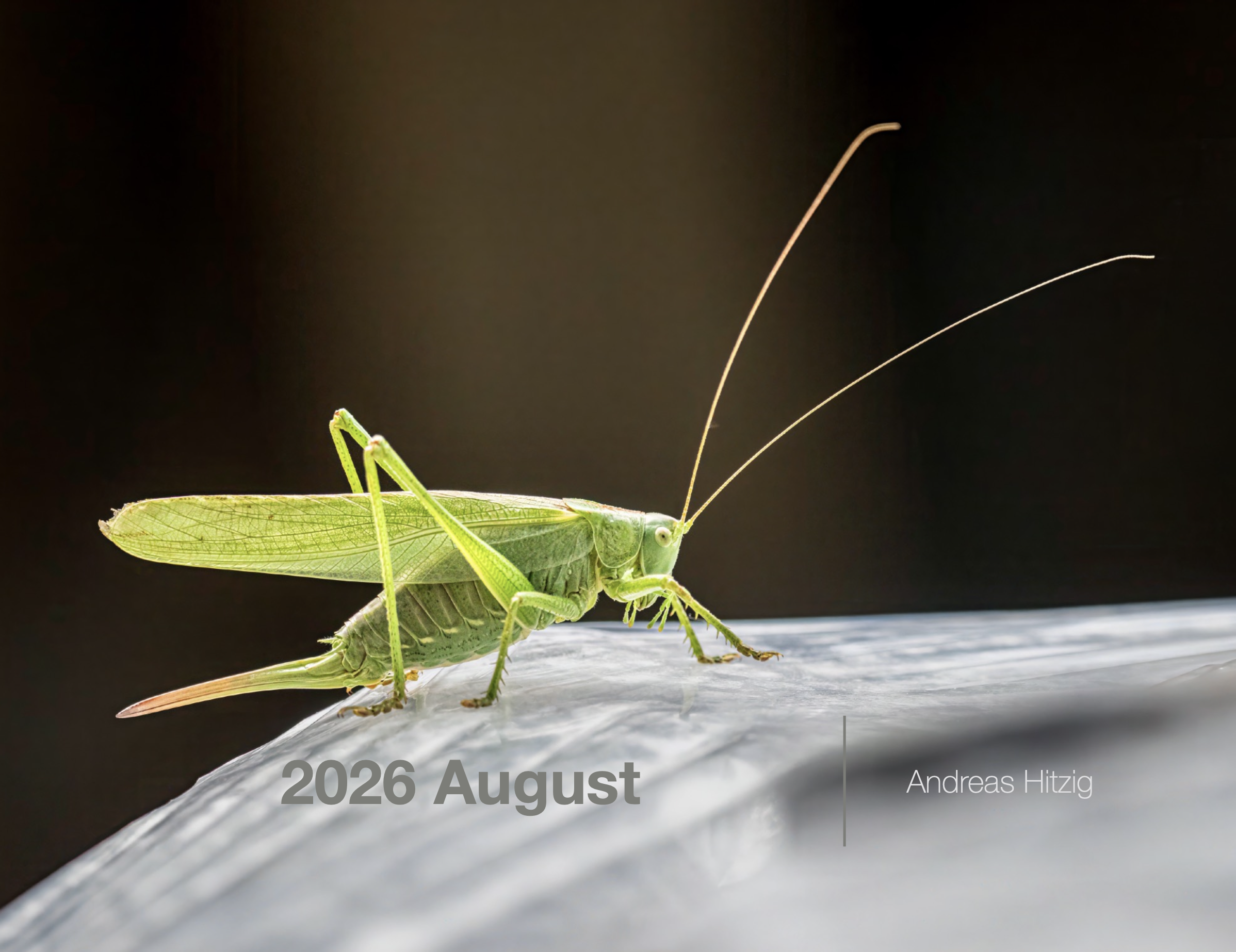 2026 August Photo book as pdf-File