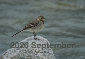 2026 September Photo book as pdf-File