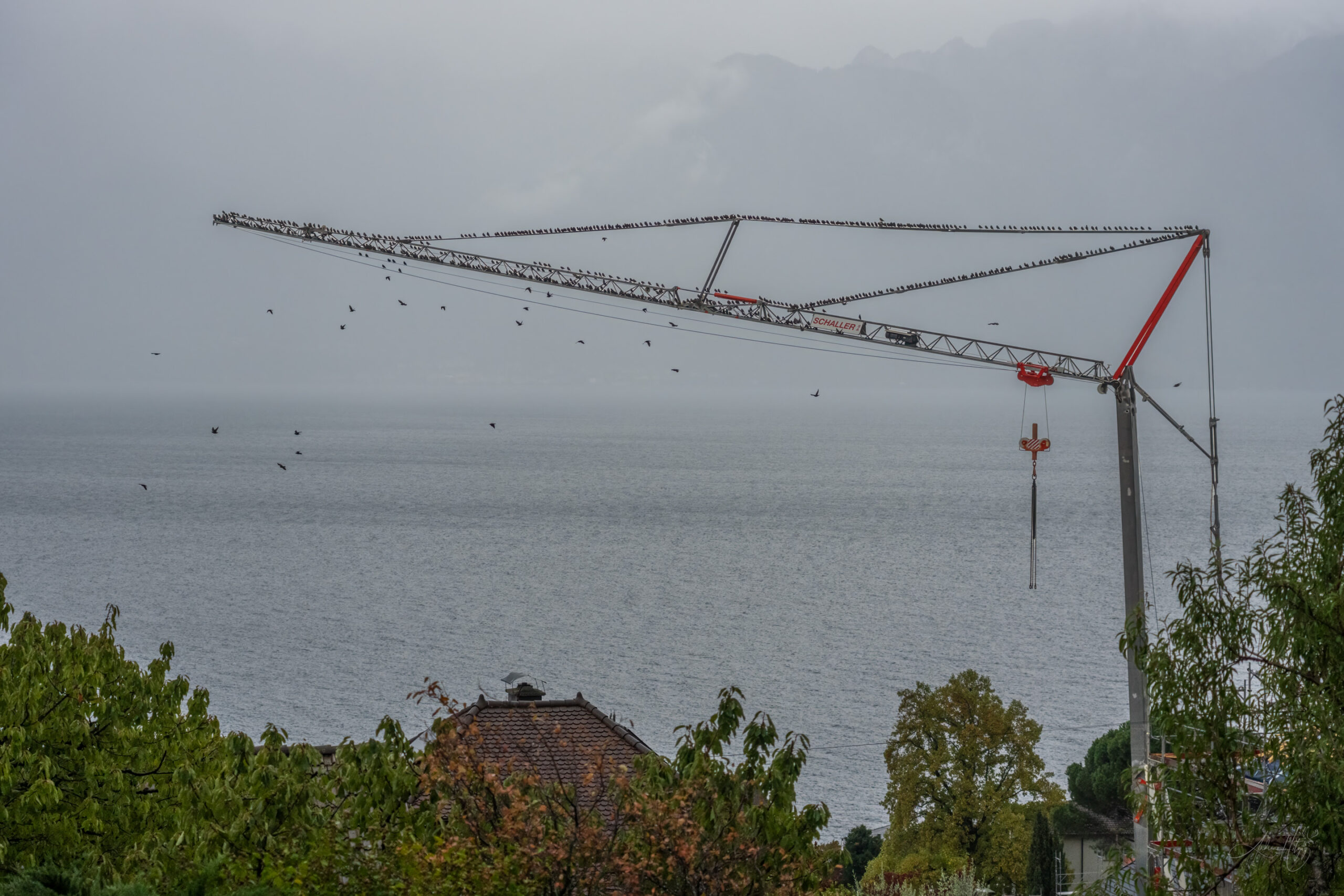 2026-10-23 Different use of a crane / Kran einmal anders genutzt
